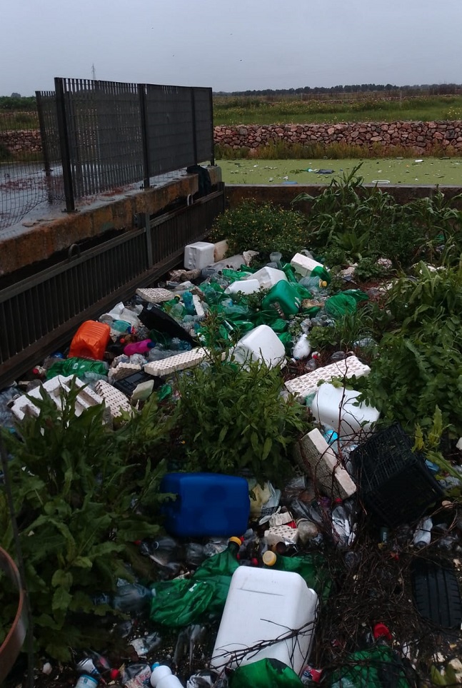 WhatsApp Image 2026 04 01 at 17.47.25