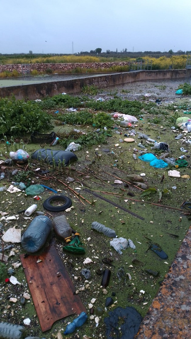 WhatsApp Image 2026 04 01 at 17.47.26 1