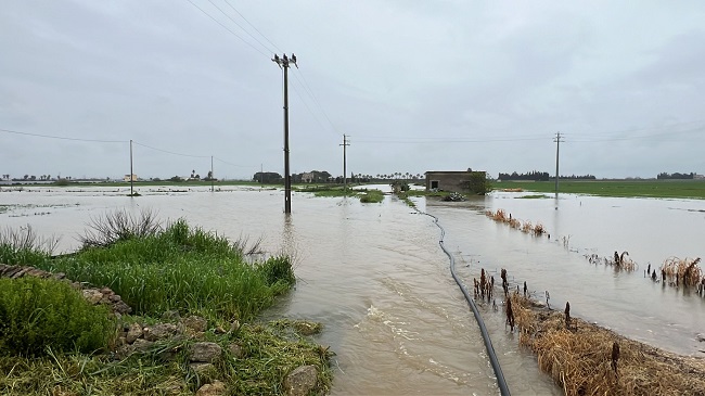 WhatsApp Image 2026 04 02 at 12.29.01