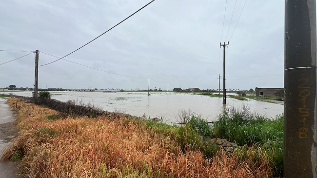 WhatsApp Image 2026 04 02 at 12.29.31