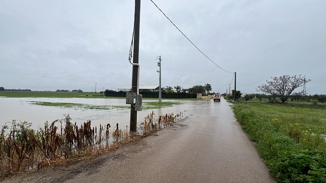 WhatsApp Image 2026 04 02 at 12.29.54