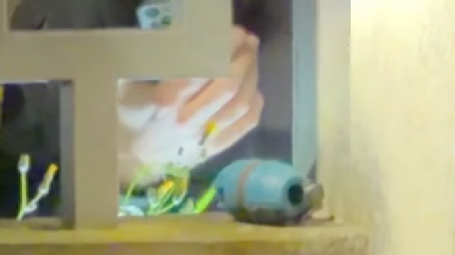 bomba3