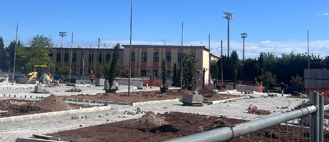 cipressi7