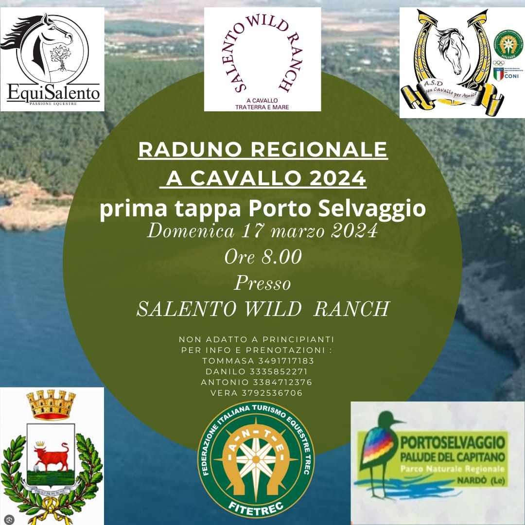 431517569 1088683939006068 186156637412344331 n