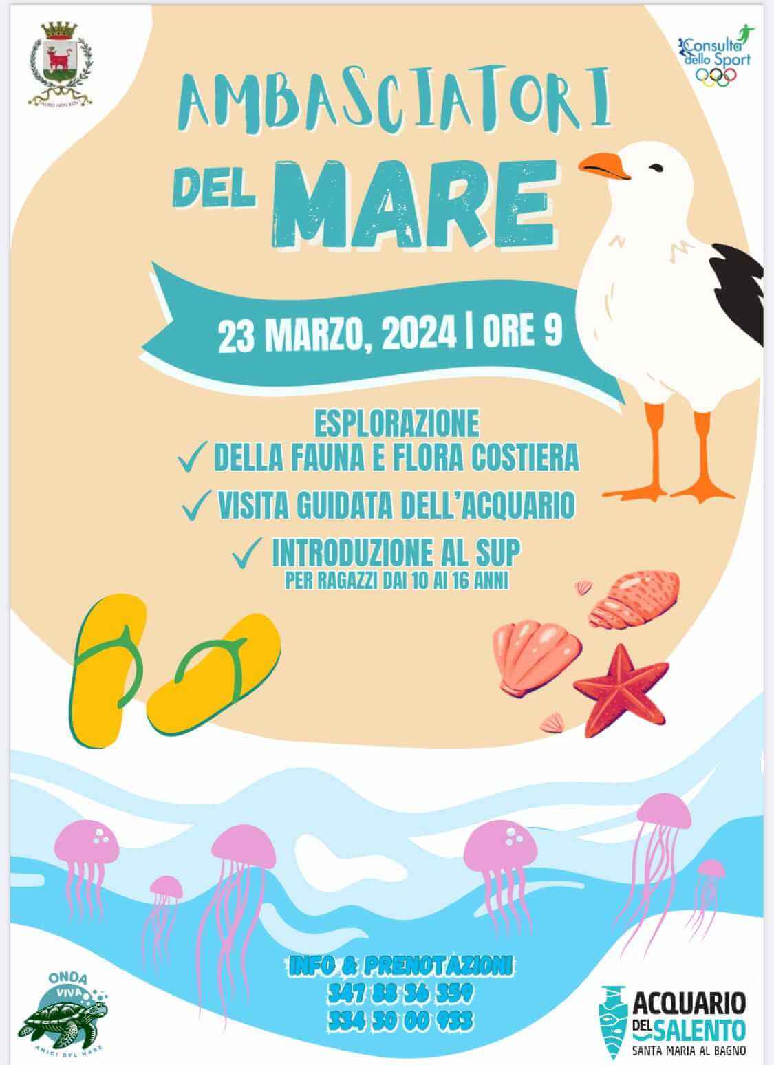 432240650 788697219834439 6399886166365510076 n 1