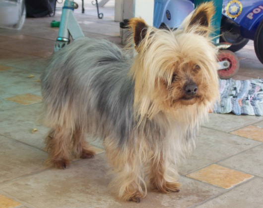 milly