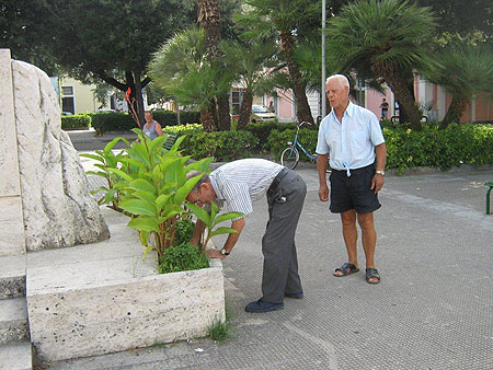 vecchino piazza_umberto_1_pdm