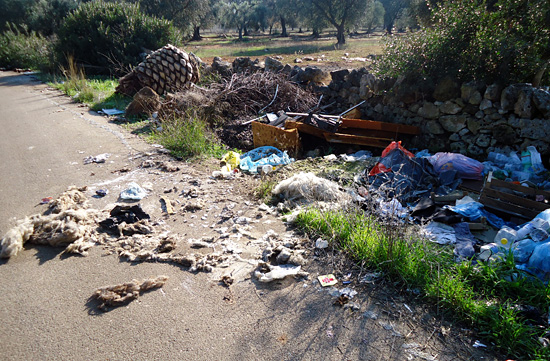 Animale mozzato_web2