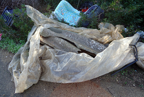 Animale mozzato_web3