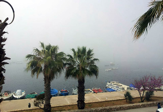 Cufiu di mare porto cesareo web