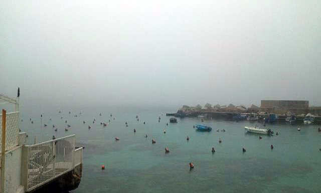 Cufiu di mare santa caterina web