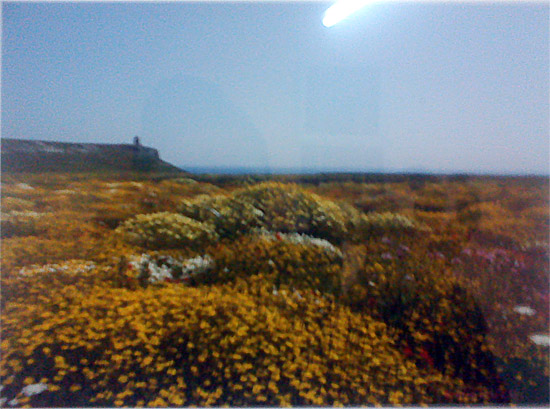 Opere mostra natale messapiae2