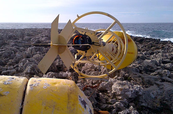 Boa segnalazione_Portoselvaggioweb3