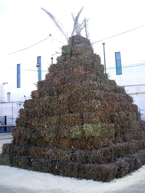 Focara Sacro_Cuore_2011web1