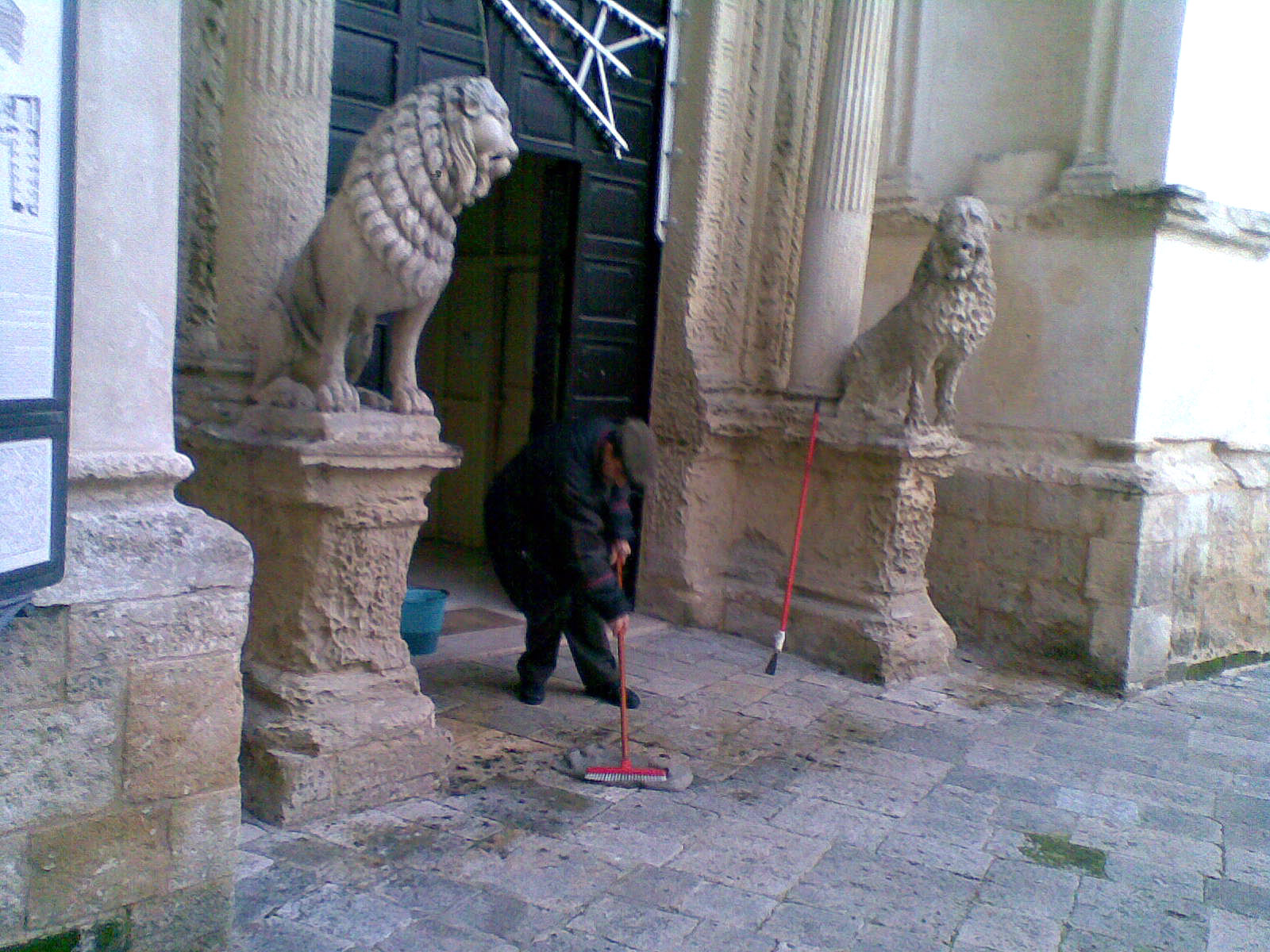 Cacca piccioni_Lillino_gazza