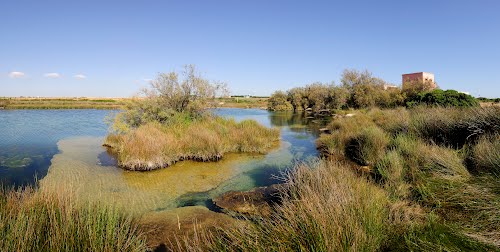 Palude del_Capitano_web