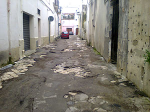 Papalisi gen_2013_web2