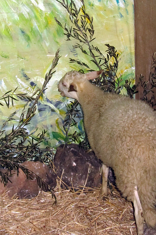 Presepe paolotti_2013_web9