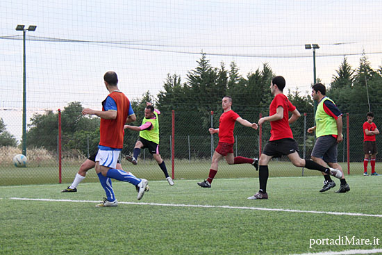 torneo 11