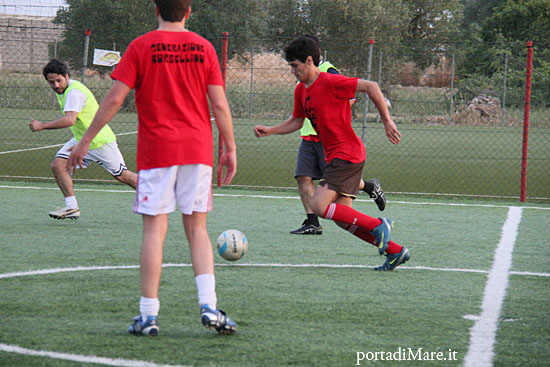 torneo 14