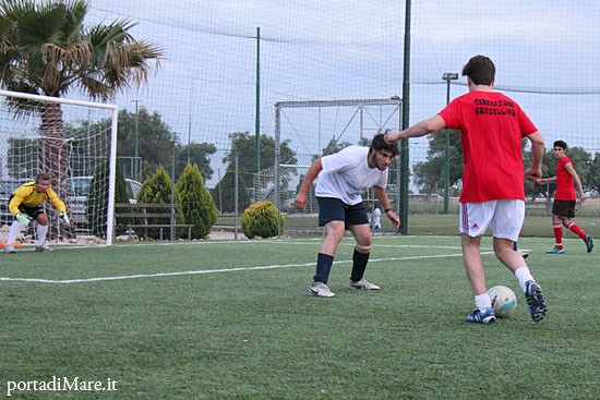 torneo 15