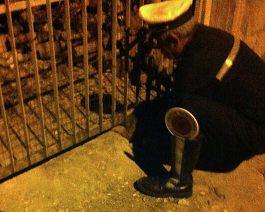 Ernesto salva cane web1