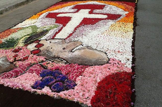 Infiorata SCaterina 2013 web3