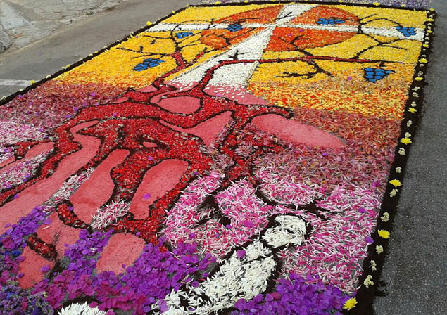 Infiorata SCaterina 2013 web4
