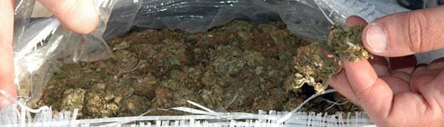 Sequestro droga 4 maggio