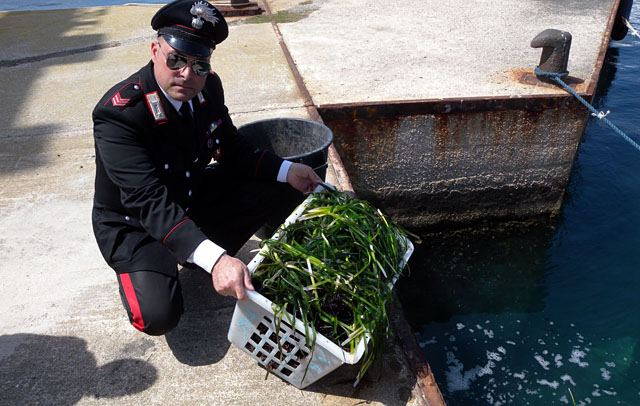 Sequestro ricci 1maggio 2013web2