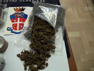 arresto MANTA_3