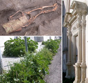 losservatorio collage1