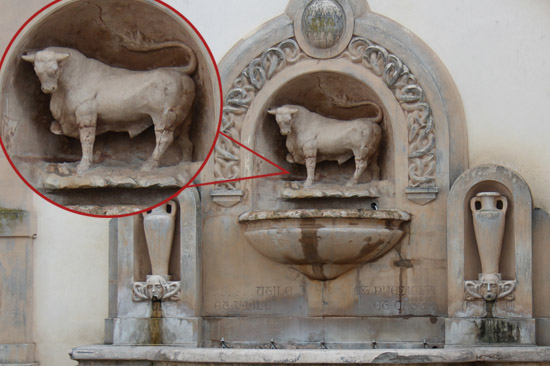 Toro piazza_salandra_zampa