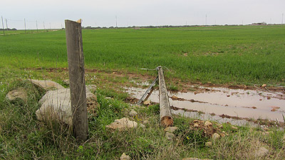 secondo palo_tagliato_pdm