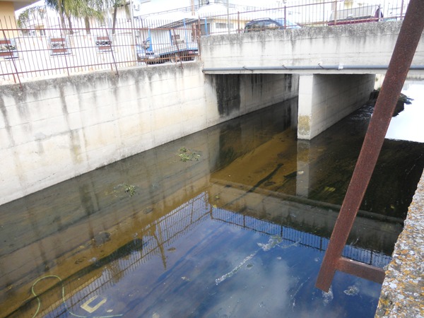 torrente asso_da_pulire_marzo_2013_web1