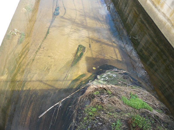 torrente asso_da_pulire_marzo_2013_web2