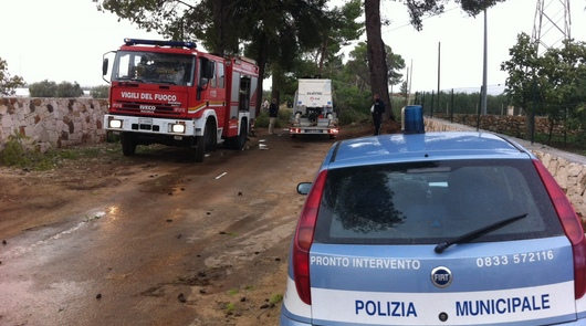 pittuini1web