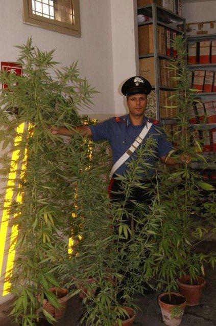 droga1