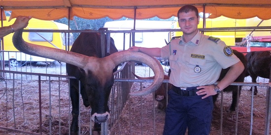 gez al_circo