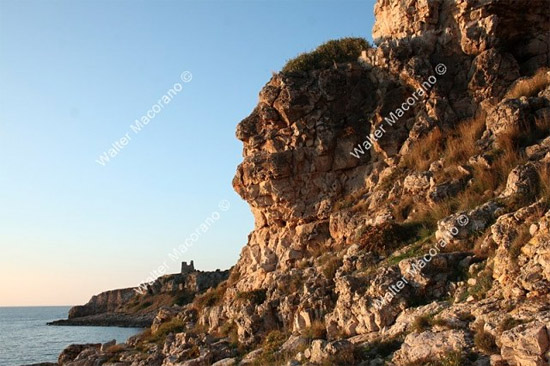 Volto roccia_portoselvaggio_web2