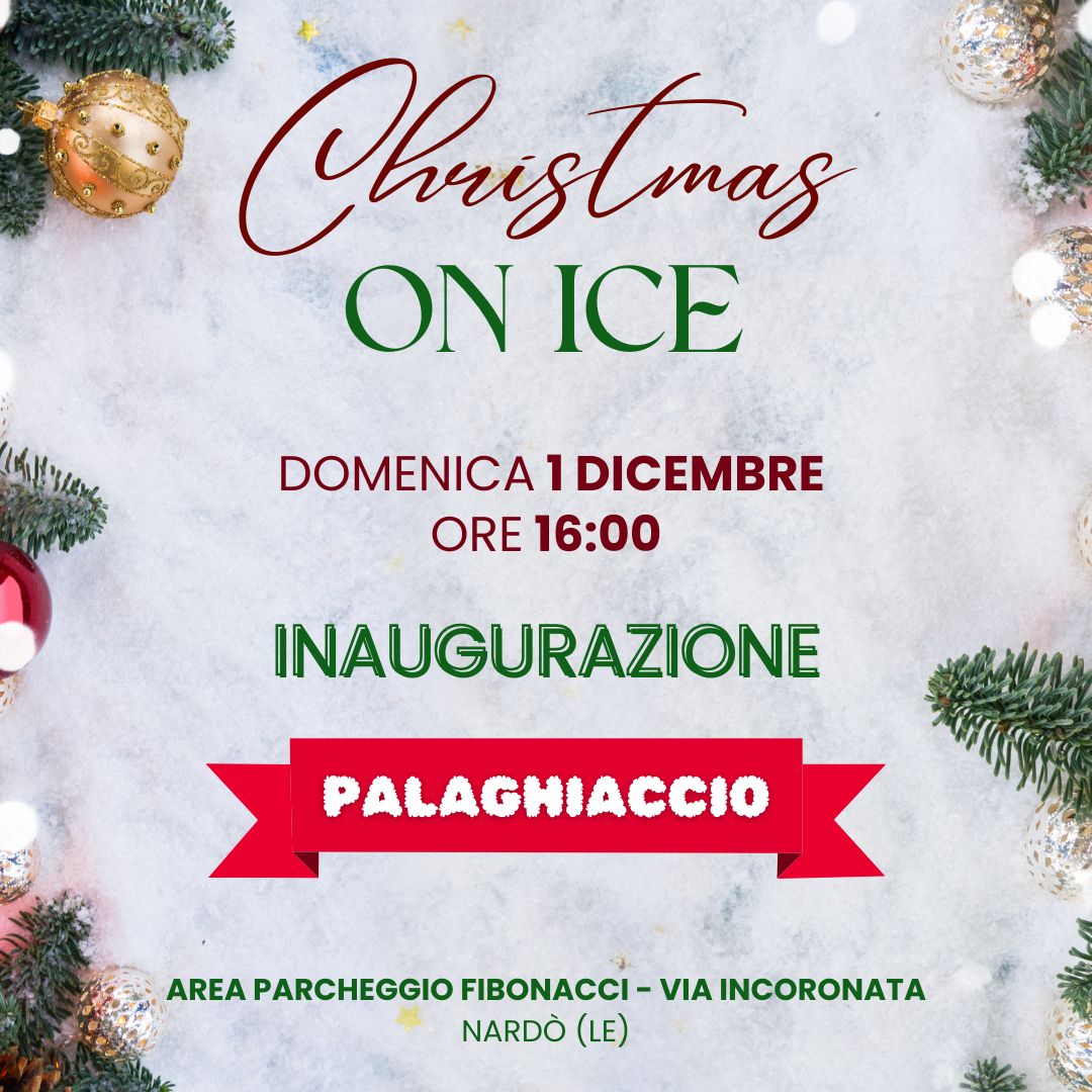 WhatsApp Image 2024 11 10 at 23.38.39