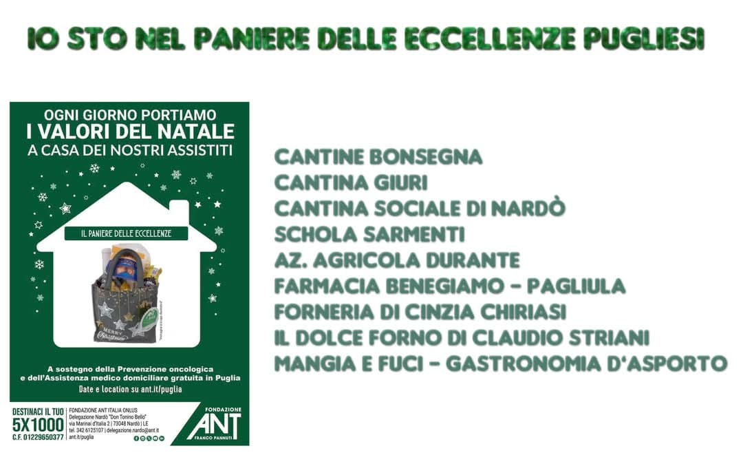 WhatsApp Image 2024 11 22 at 19.45.29