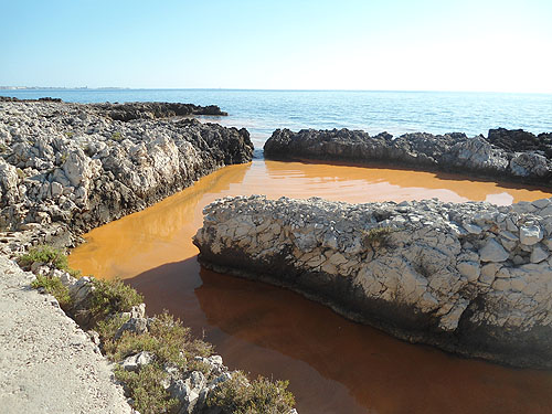 acqua arancio_tz_01_pdm