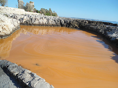 acqua arancio_tz_02_pdm
