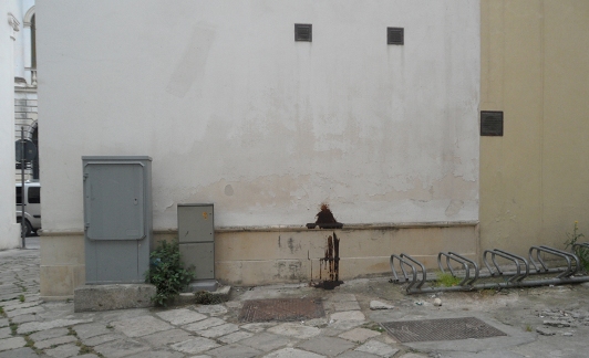 schifo 31