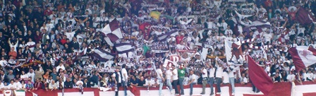tifosi d